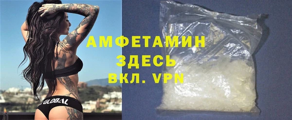 сатива Инта