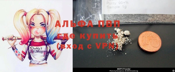 ALPHA PVP Иннополис
