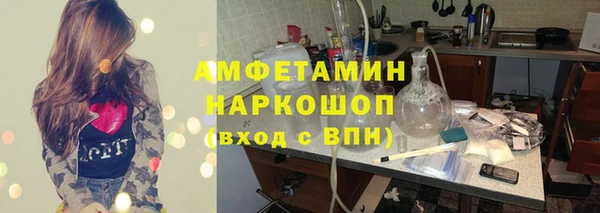 сатива Инта