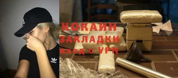 сатива Инта