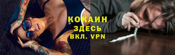 ALPHA PVP Иннополис