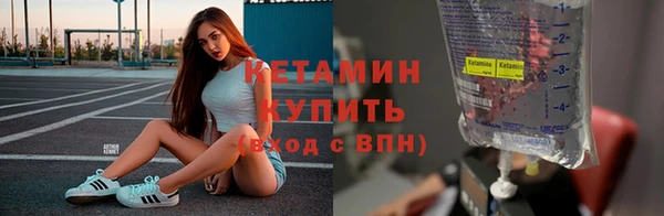сатива Инта