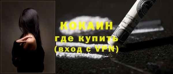 сатива Инта