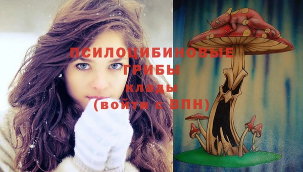 прущие грибы Нижний Тагил
