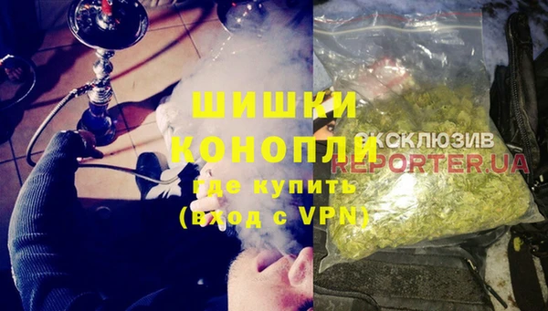 PSILOCYBIN Инсар