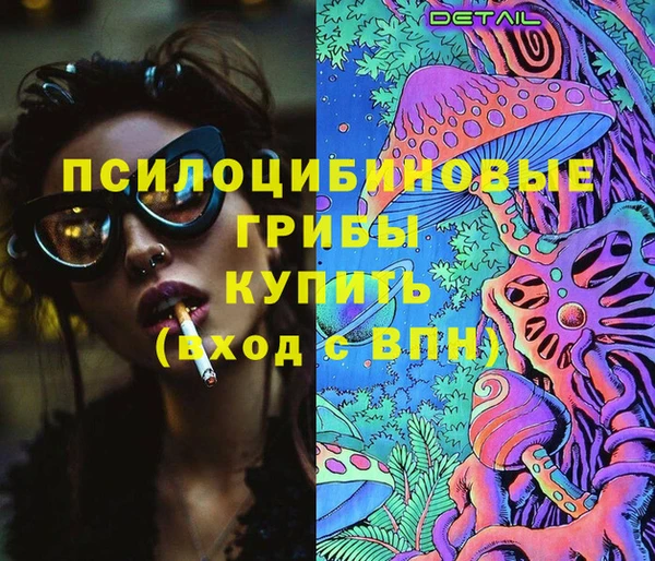 сатива Инта