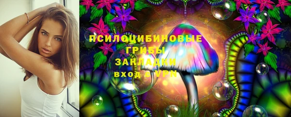 PSILOCYBIN Инсар