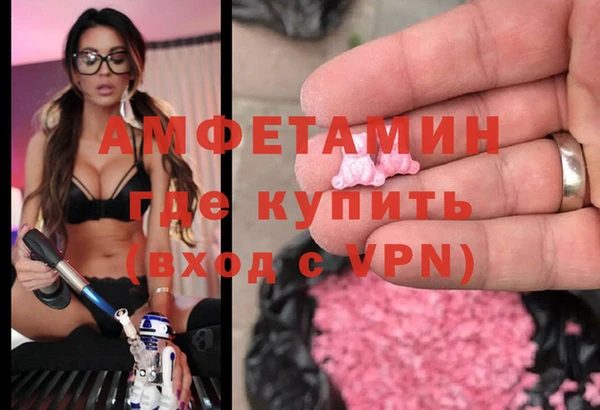 сатива Инта