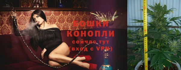 PSILOCYBIN Инсар