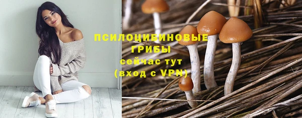 PSILOCYBIN Инсар
