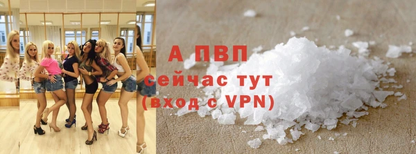 ALPHA PVP Иннополис