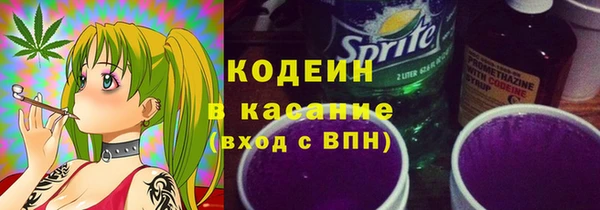 PSILOCYBIN Инсар