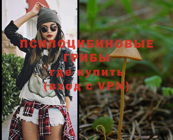 PSILOCYBIN Инсар