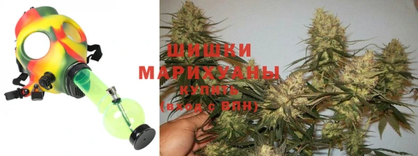 ALPHA PVP Иннополис